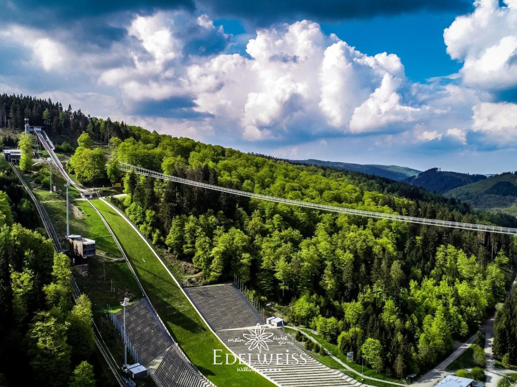 Hotel & Ferienappartements Edelweiss ヴィリンゲン エクステリア 写真